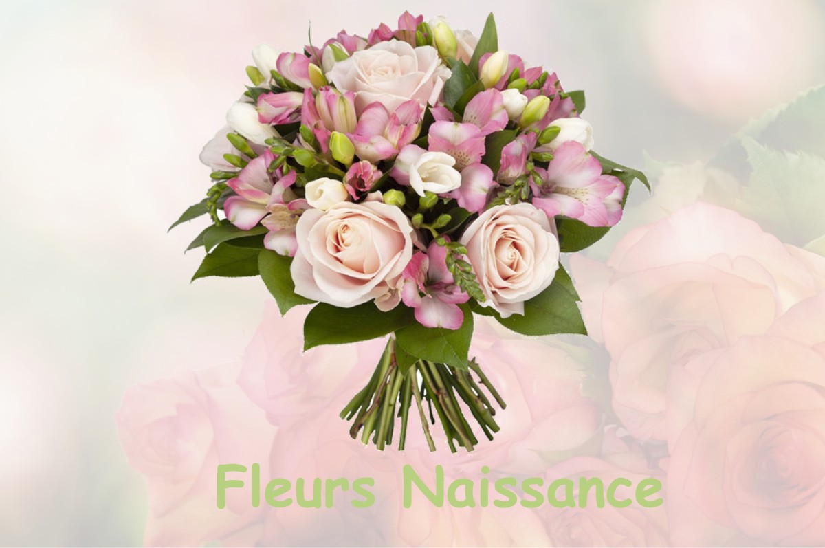 fleurs naissance MIREBEL