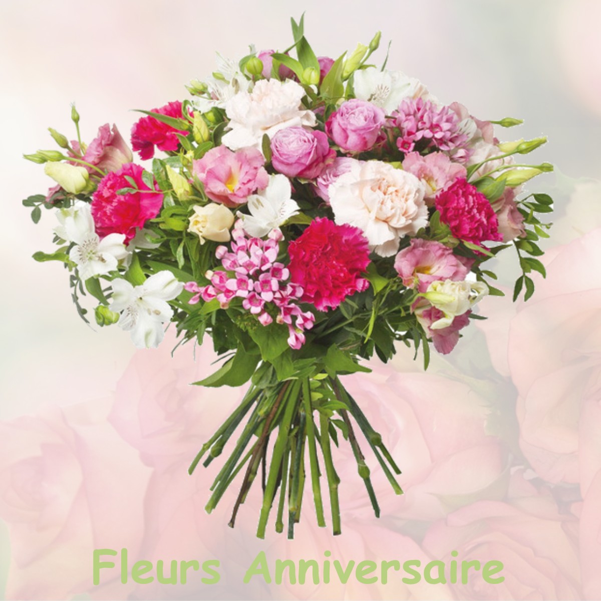 fleurs anniversaire MIREBEL