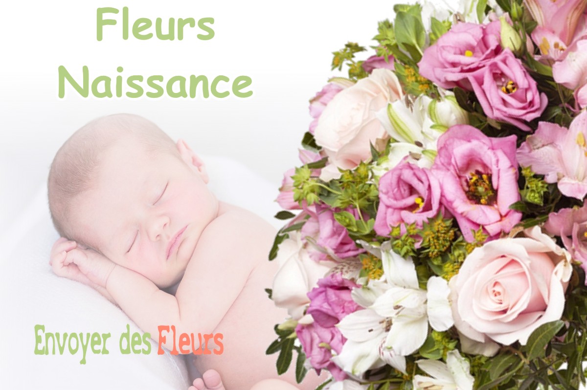 lIVRAISON FLEURS NAISSANCE à MIREBEL